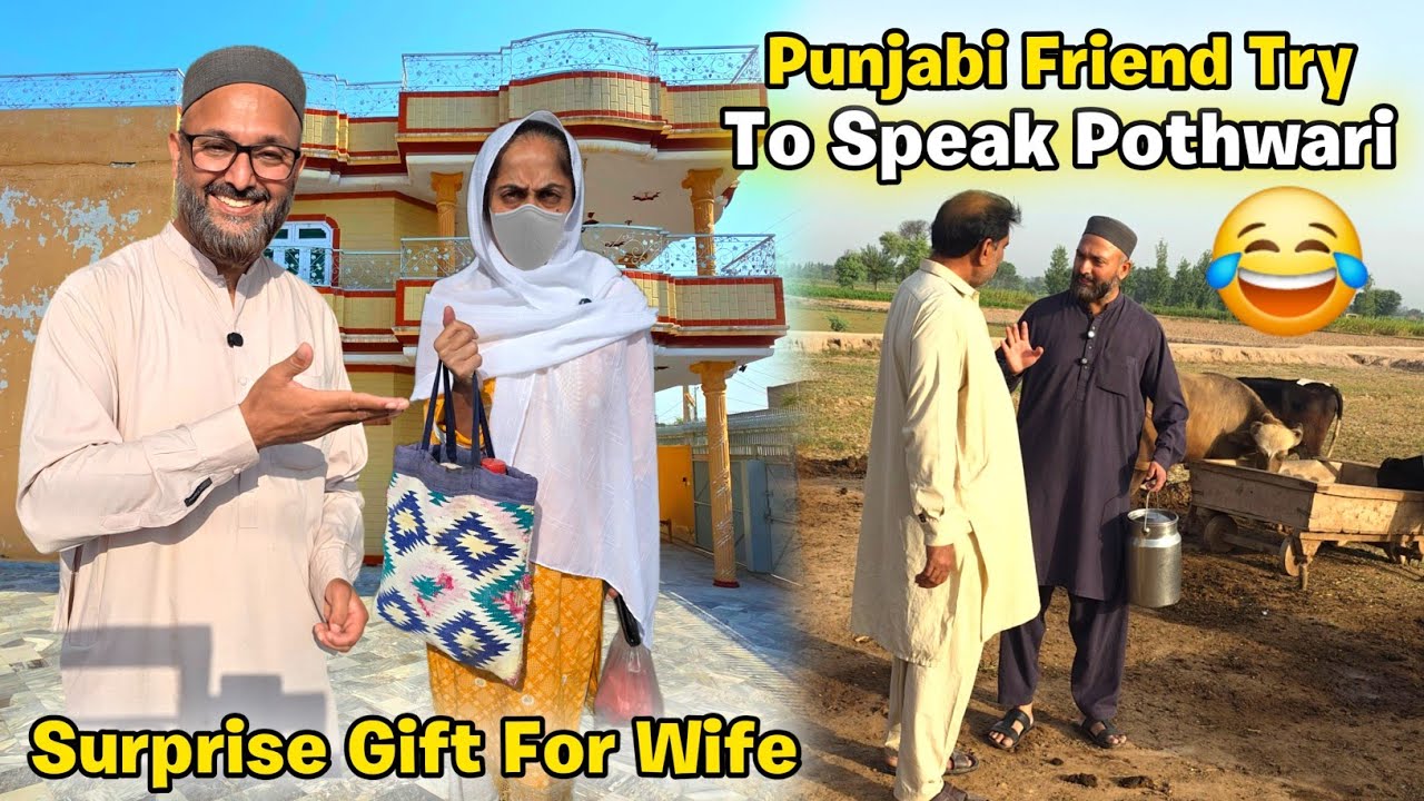 Special Gift for Wife, Treat for In-Laws 💝 | Friend’s Funny Pothwari Speaking Moment 😂 