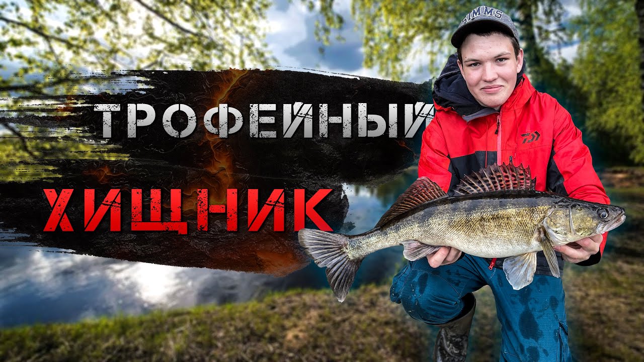 ✅ Поиск ТРОФЕЙНЫХ хищников на обводном. Судак, щука, окунь ✅