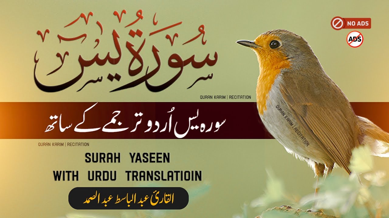 Surah Yasin (Yaseen) | Full With Urdu Translation | Tarjuma ke Sath |  یس سورۃ  | Shaikh Abdul Basit