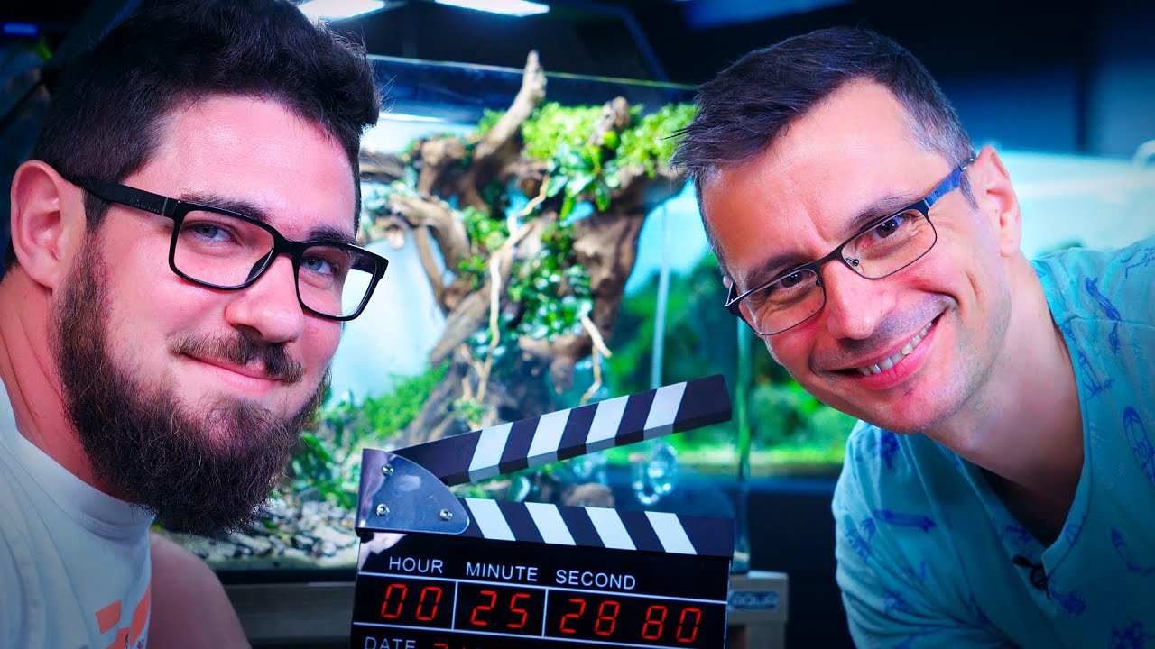 SPEEDSCAPING A NEAT DENNERLE 70 LITER PLANTED TANK - WITH TOMMY AND BALAZS AT GREEN AQUA