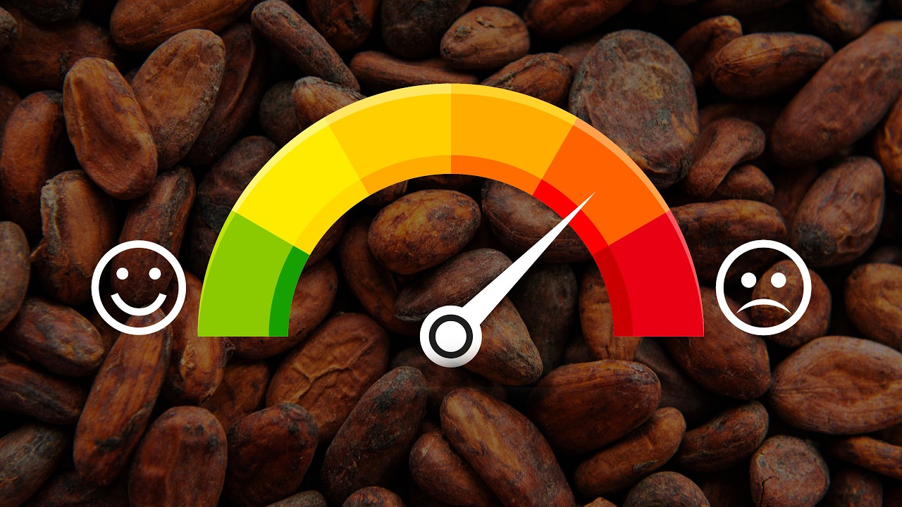 Cocoa Barometer 2025 | Suzan Yemidi | Voice Cocoa Network