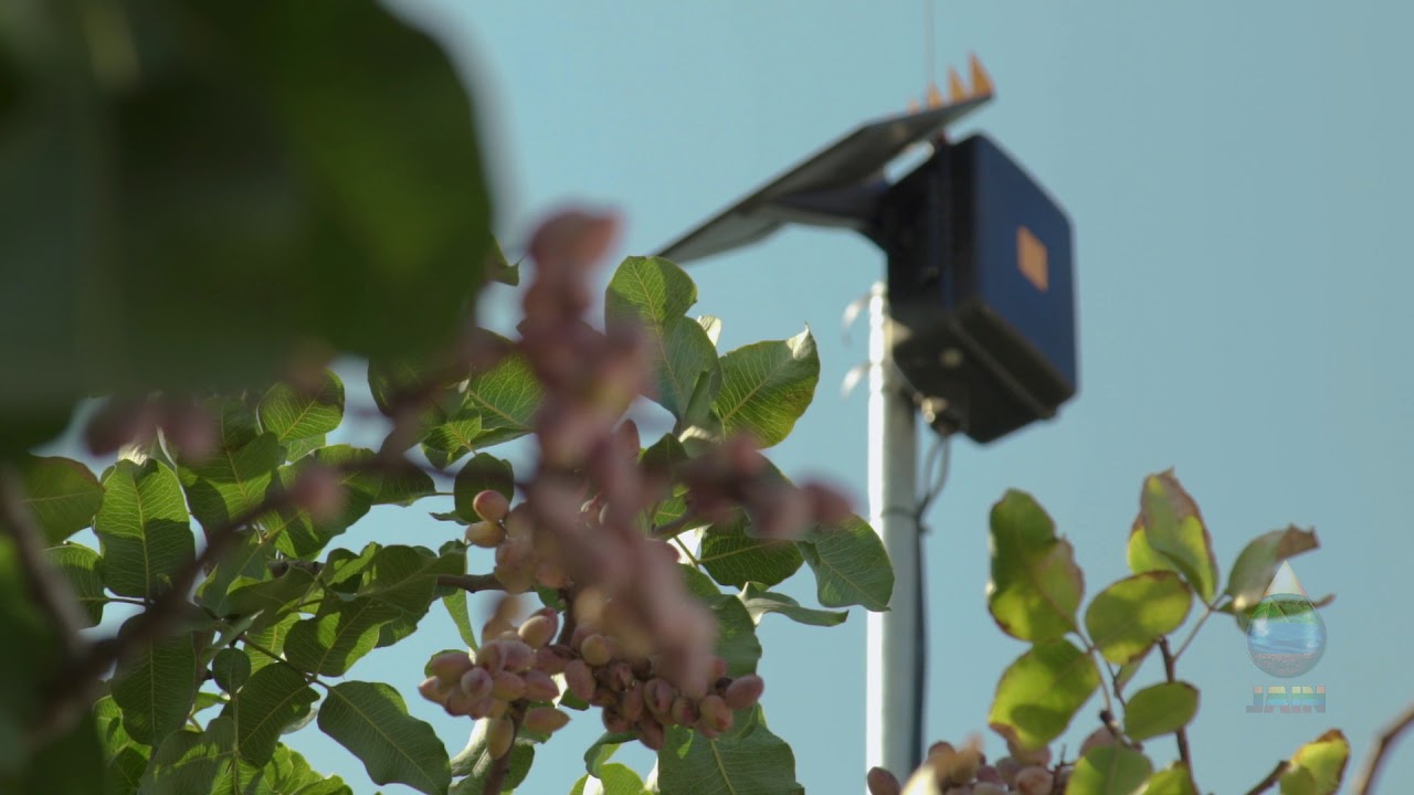 JAIN Monitoring and Control - Precision Irrigation By Jain