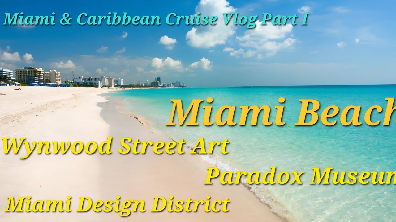 Walk Through Miami Beach | Miami Design District | Wynwood Street Art | Paradox Museum