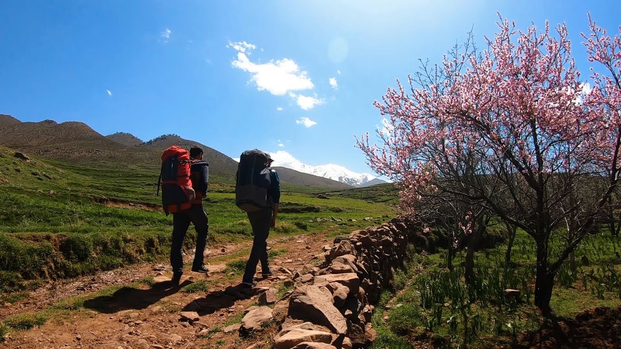 Hiking 30 Km on Yagour Plateau & Failing to Summit Mt Meltsen