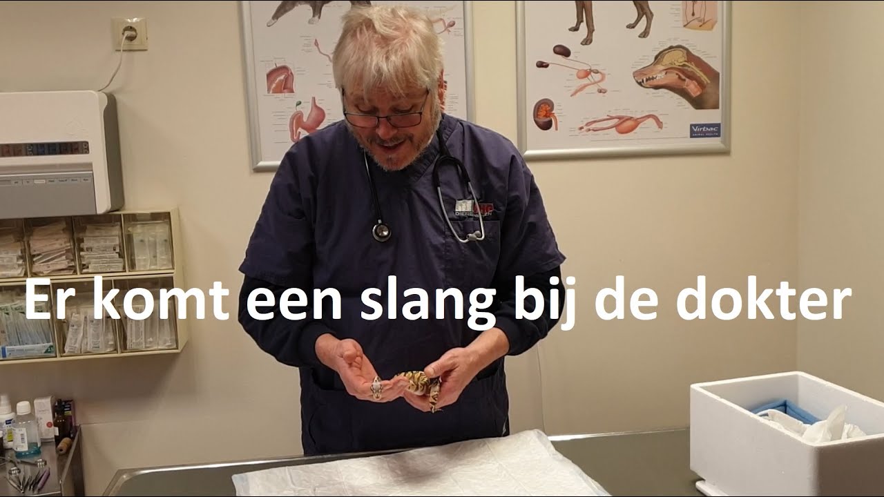 Er komt een slang bij de dokter