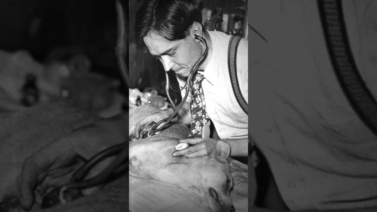 El controvertido experimento de Robert Cornish: Intentando revivir a los muertos