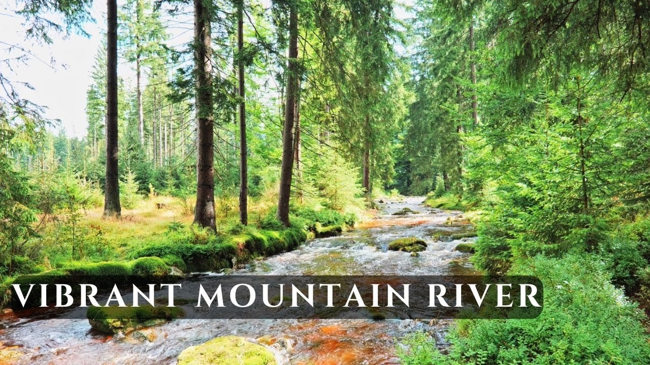 10H Vibrant Mountain River Sounds • Refreshing Forest Water for Energy & Focus