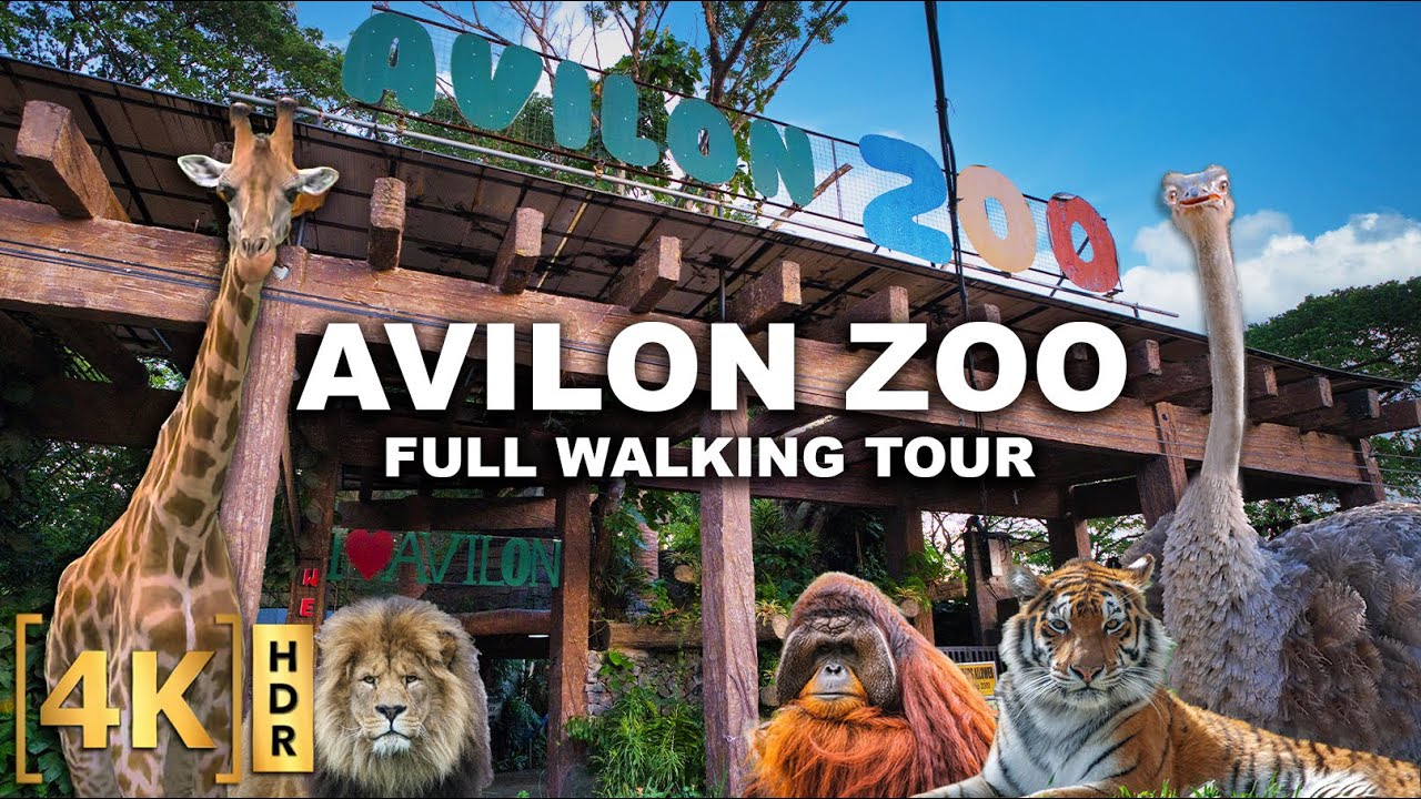 Visit the BIGGEST ZOO Near Metro Manila! AVILON ZOO | 3,000+ Animals! | Walking Tour | Philippines