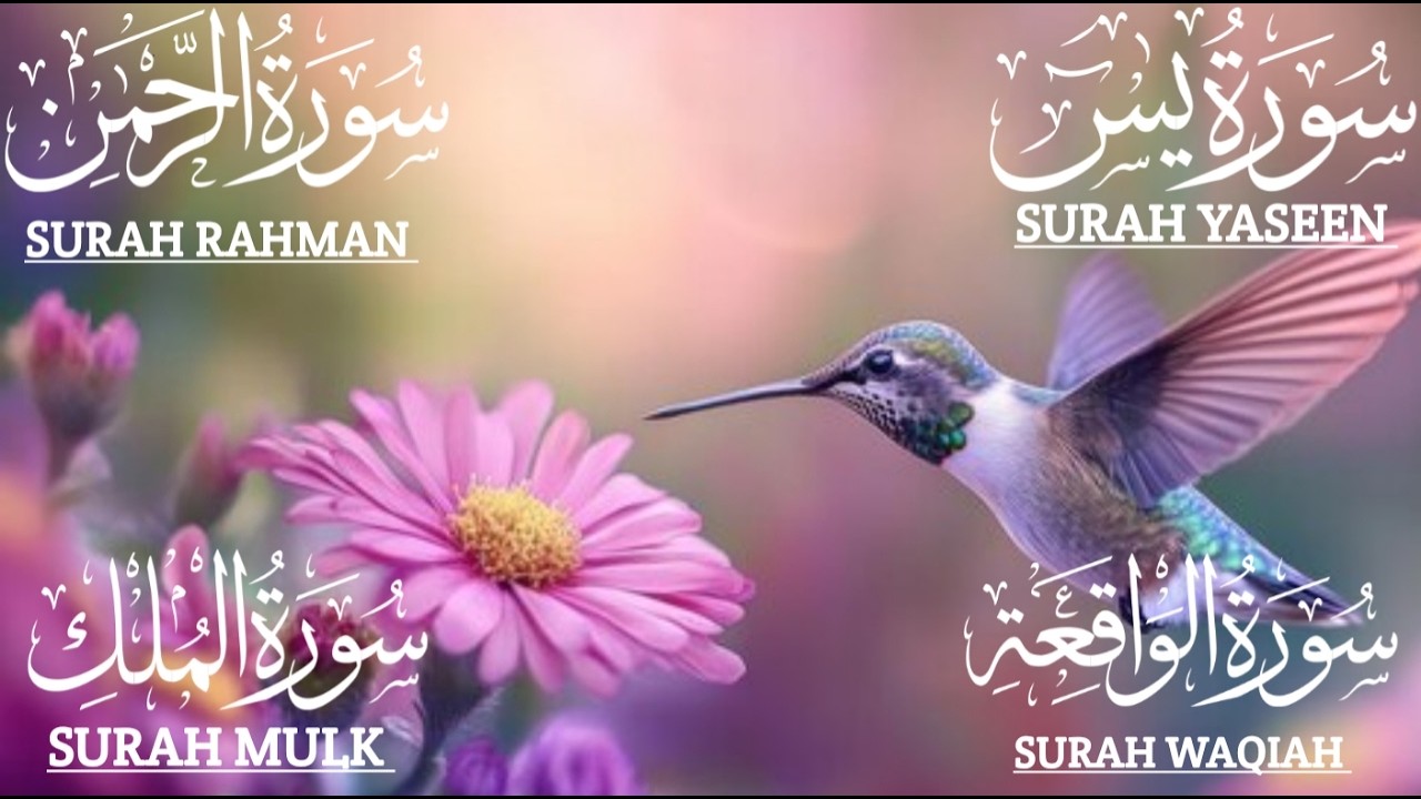 تلاوة تريح القلب سورة يس❤️الواقعة❤️الرحمن❤️الملك❤️ لزيادة الرزق و البركة.Yaseen🔴Rahman🔴Mulk🔴Waqiah✅💯