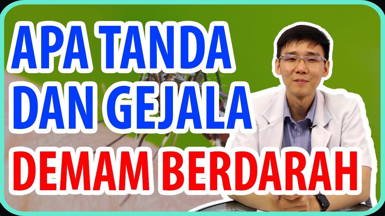 Apa Saja Tanda dan Gejala Demam Berdarah?