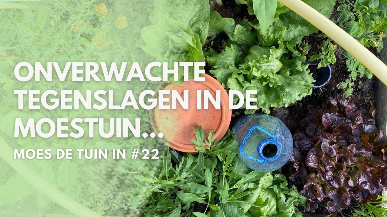 Onverwachte tegenslagen in de moestuin, MOES de TUIN in #22