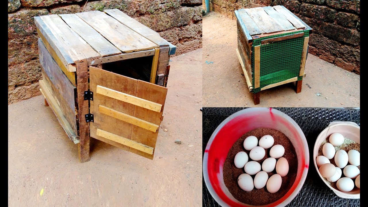 Making Mini Chicken Cage For Hatching Eggs | How To Make Chicken Cage At Home