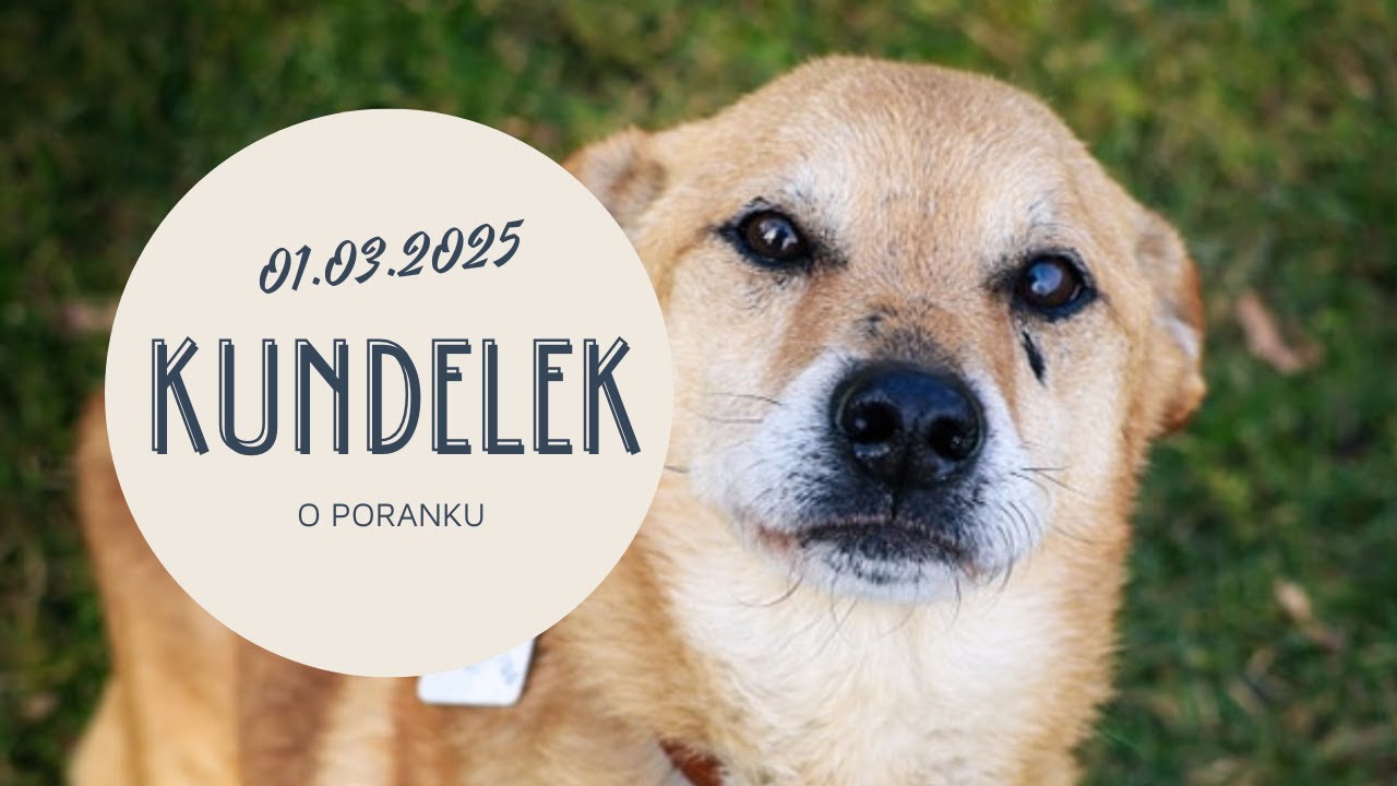 Kundelek o poranku. 01.03.2025