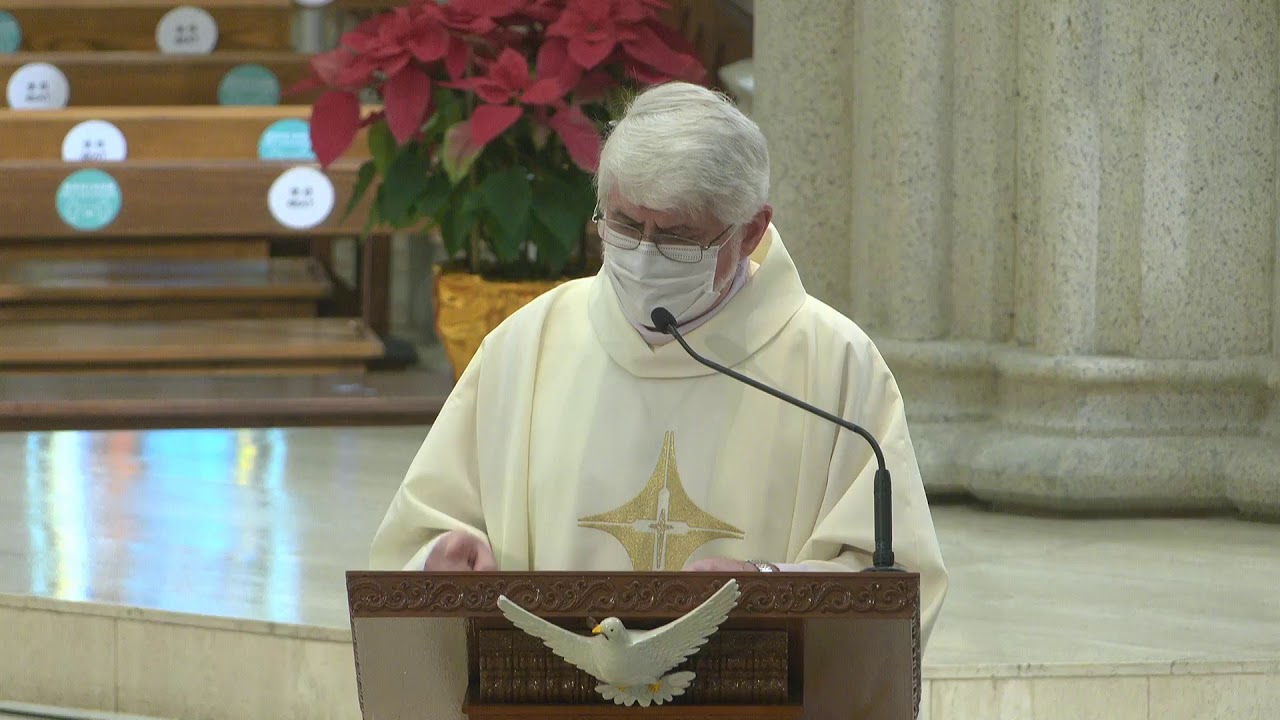 #Homily【THE HOLY FAMILY OF JESUS, MARY AND JOSEPH】 (Year B)Rev. Gregoire Vignola, SME