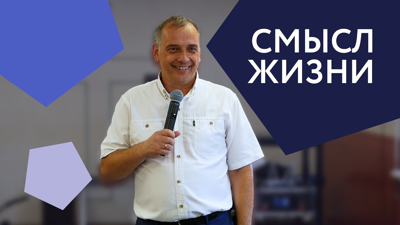 Смысл жизни | Леонид Вороненко