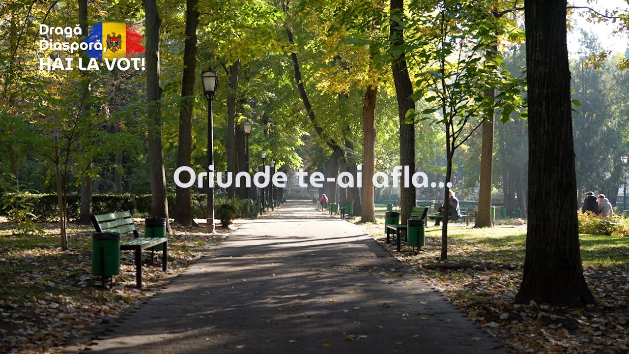 Dragă Diasporă, Hai la Vot! ❤️