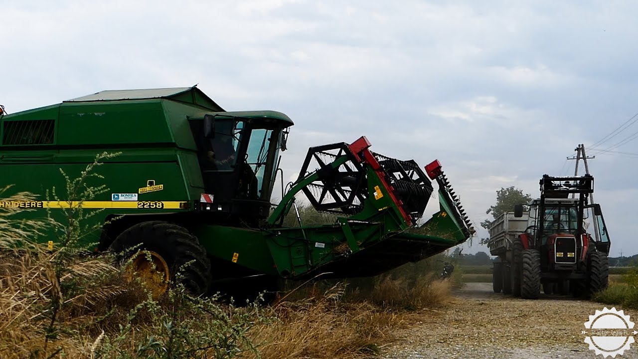 ☆ Zdążyć przed burzą z rzepakiem ㋡ John deere 2258 MF 3085 HW 80.11