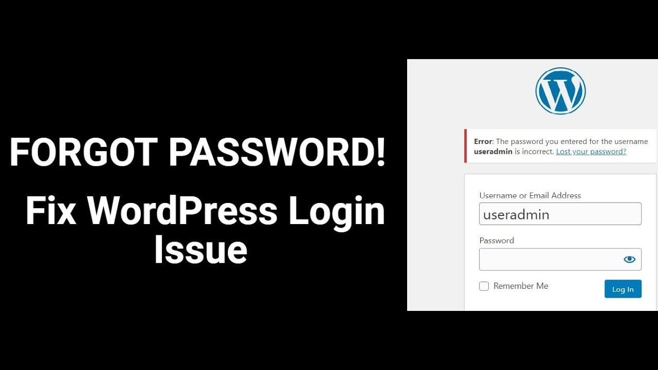 Fix WordPress Password Forgot Issue | Resolution for login problems