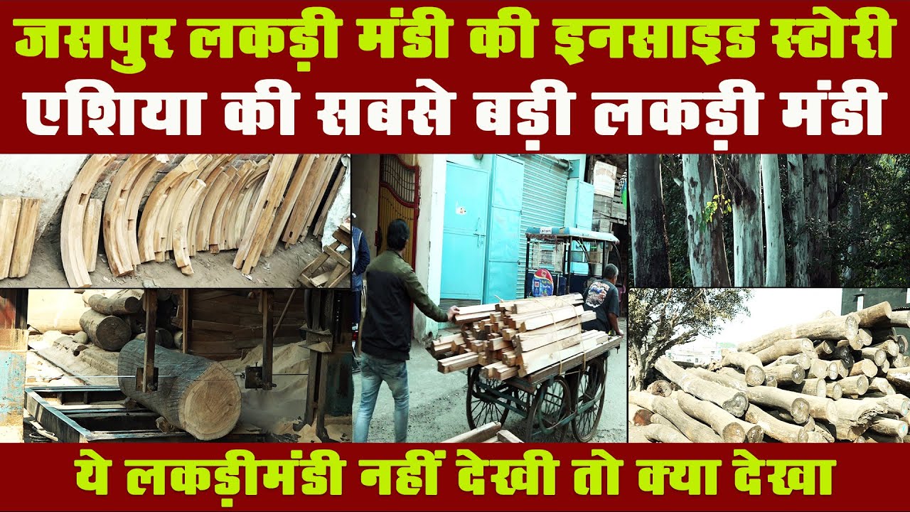 Jaspur Timber Market : एशिया की सबसे बडी लकड़ी मंडी Jaspur की ये है खासियत देखिए Special Report