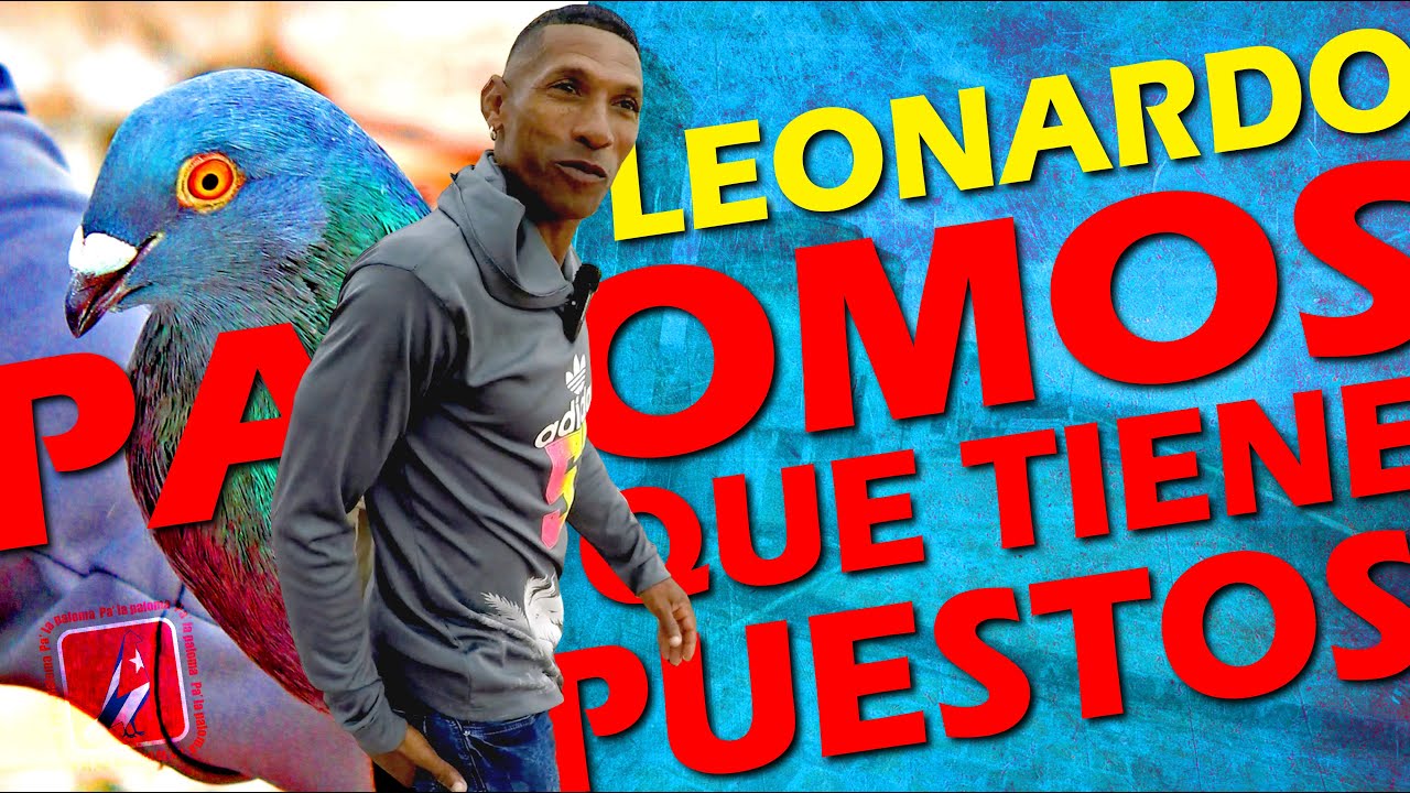 PALOMOS de LEONARDO. LO QUE TIENE PUESTO