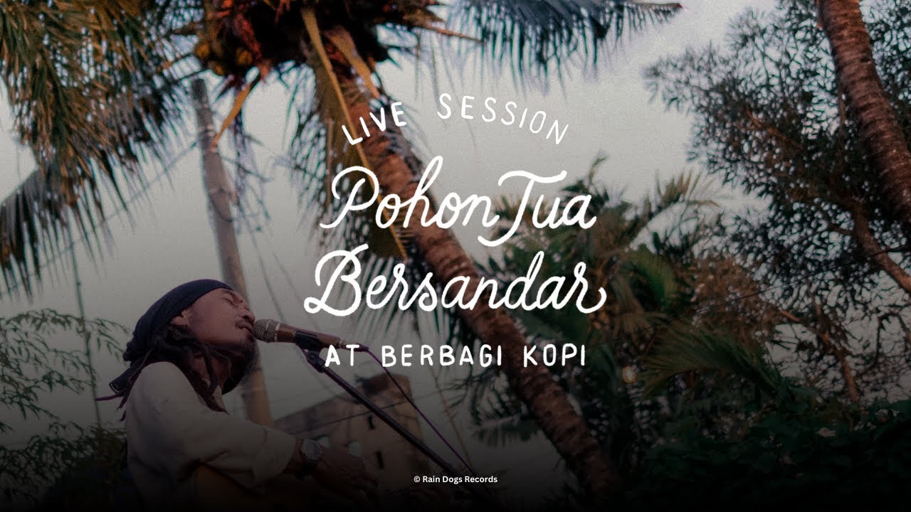 Dialog Dini Hari - Pohon Tua Bersandar (Live Session)