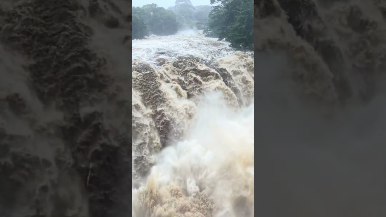 Extreme flooding in Hilo, Hawaii during Hurricane LaLa #Hurricane #LaLa #Hawaii