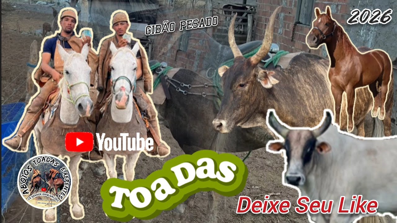 Toadas do Melhores Vaqueiros de Sergipe  - Aboios Toadas e Repentes 💥 