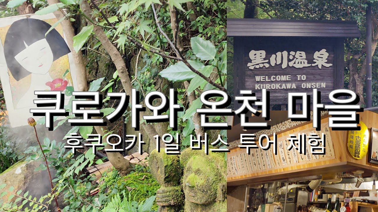 후쿠오카 근교♨️ 구마모토 쿠로가와 숲속 온천마을/이코이료칸/하카타 무이치몬/카츠리키 이자카야 [1일 버스 투어 체험]