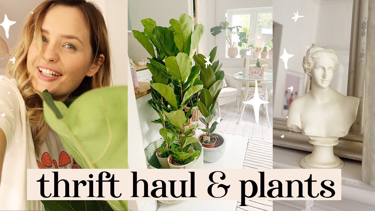 Thrift homeware haul, Christmas prep and new bargain plants from LIDL |  Vlog
