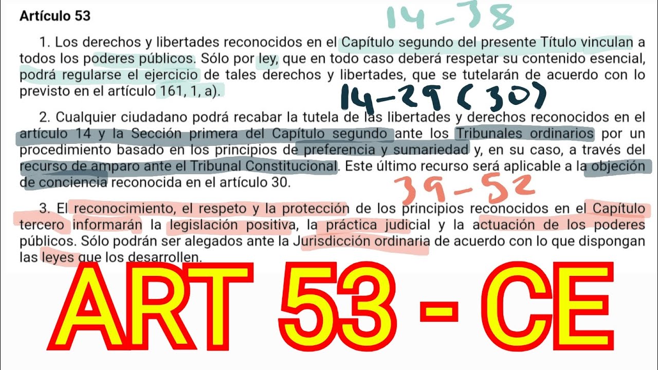 ARTÍCULO 53 - Constitución Española - Garantías de Derechos - OPOSICIONES
