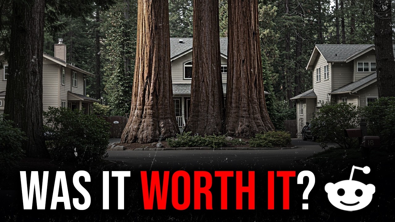 Самые мрачные истории мести на Reddit [23]