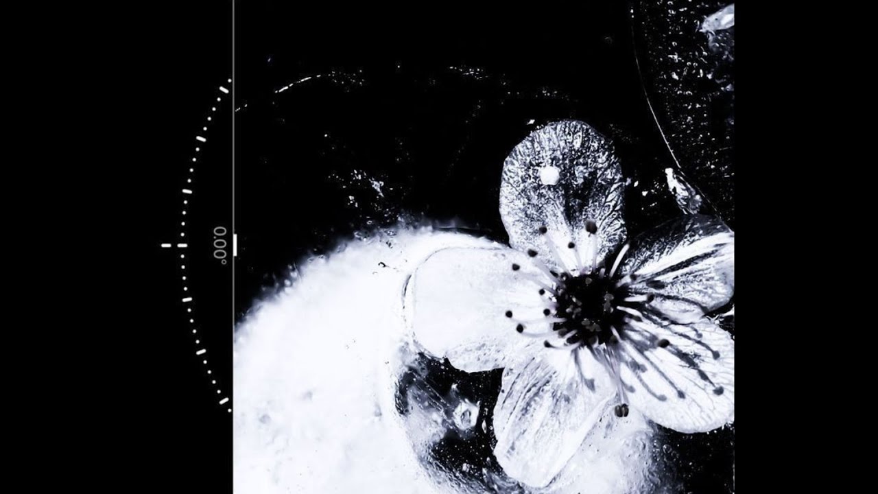 [FREE] Loop Kit / Sample Pack 2025 | 