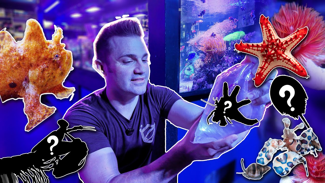 Распаковываем САМУЮ БЕЗУМНУЮ партию Saltwater INVERT КОГДА-ЛИБО!!