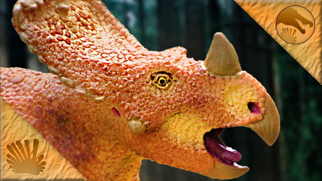 Safari Ltd. 2012 Vagaceratops || Most Underrated Ceratopsian?