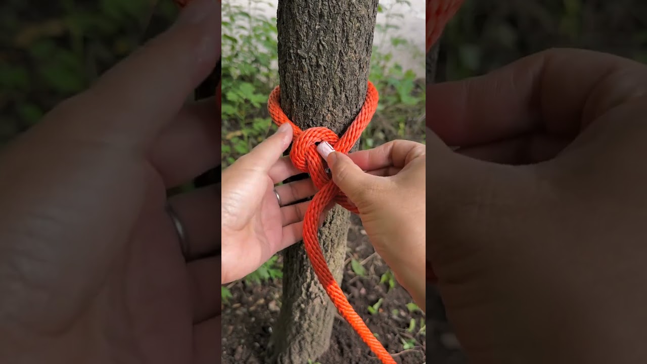 Easy Knot simple and convenient, safe