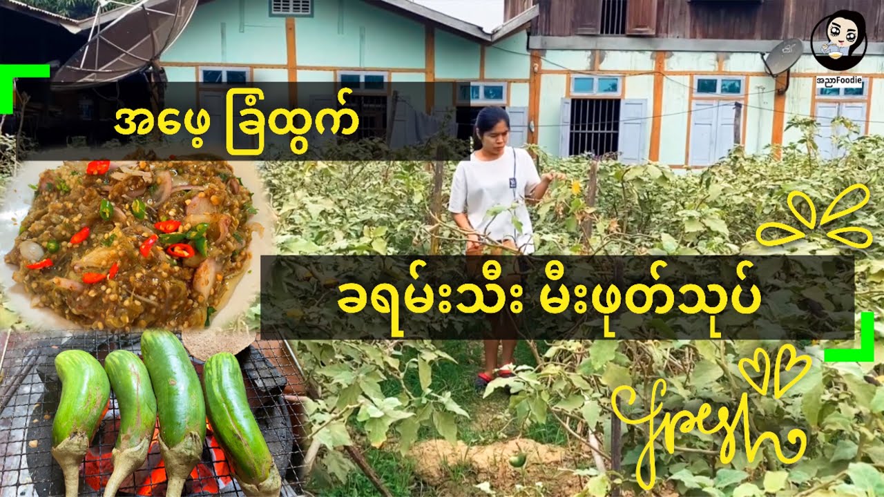 အဖေ့ခြံထွက် ခရမ်းသီးမီးဖုတ်သုပ် - Eggplant Salad - Village Cooking