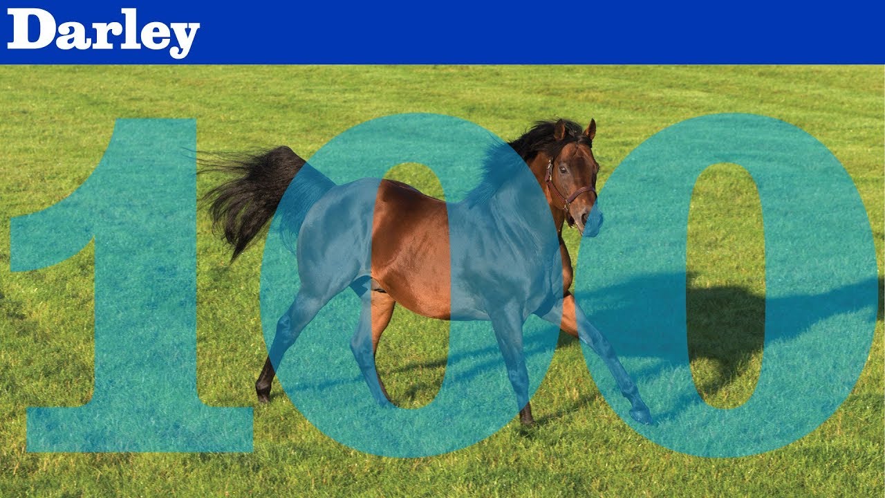 Dubawi sires 100 Group winners