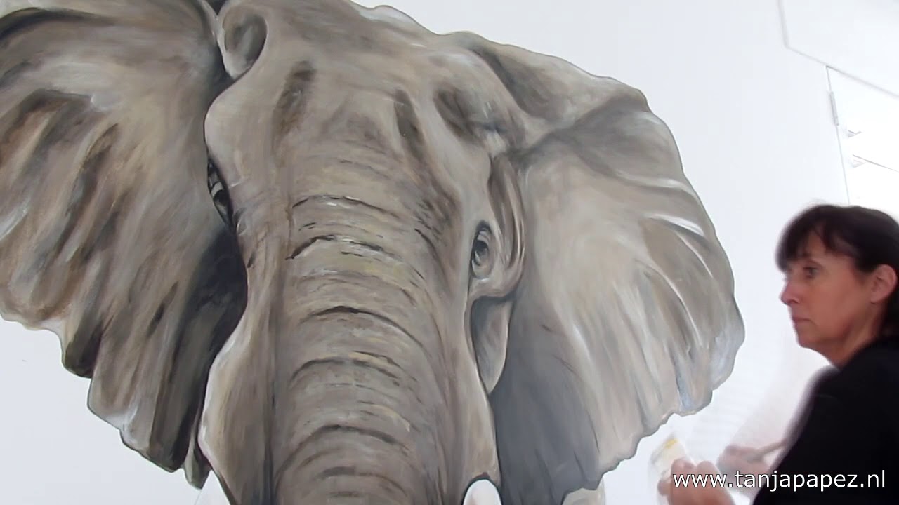 Olifant, Elephant - Tanja Papez Muurschilderingen