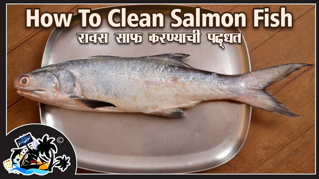 How To Clean Ravas (Salmon) Fish | Simple Way to Clean A Fish | रावस मासा साफ करण्याची सोपी पद्धत