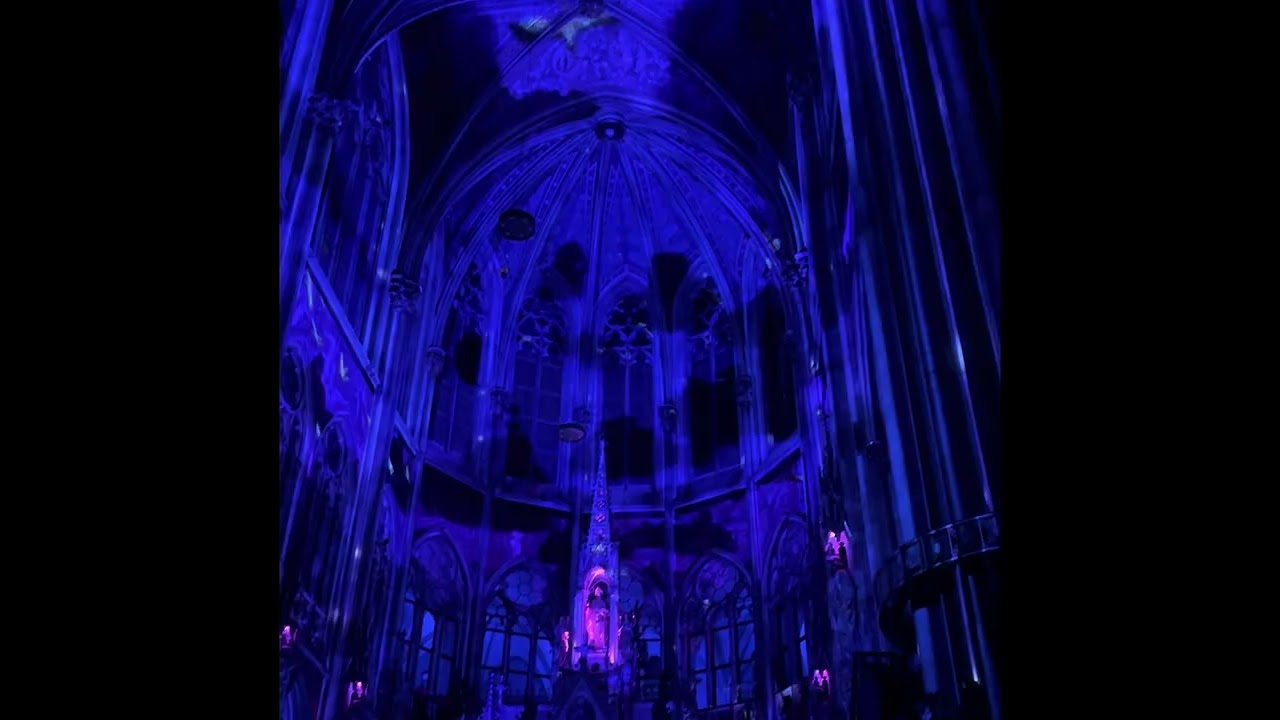⛪ Light of Creation Vienna 20 jan 2026