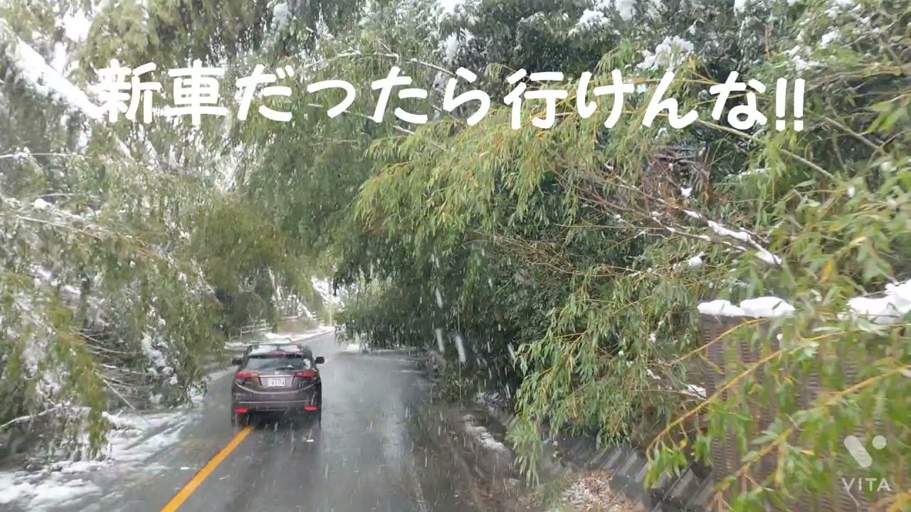 酷道石榑峠４２１号大雪でトラック立ち往生!!通行止！！