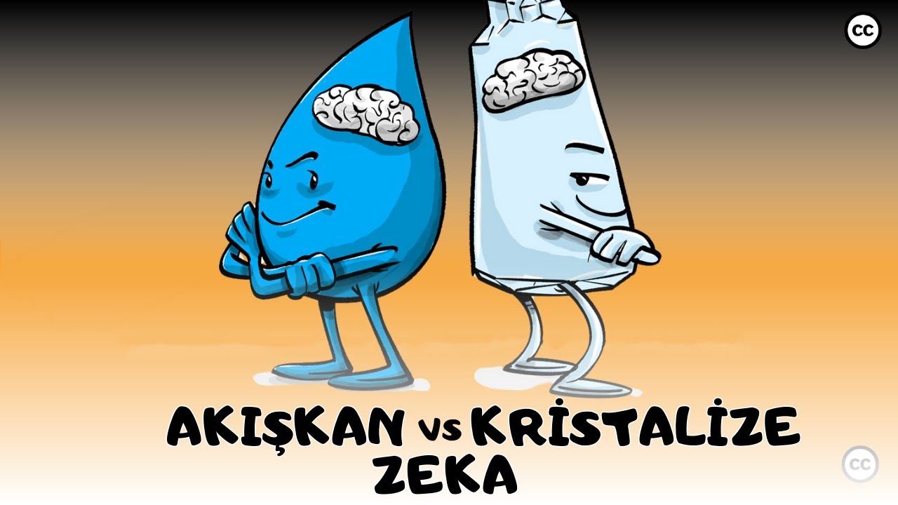 Akışkan vs Kristalize Zeka