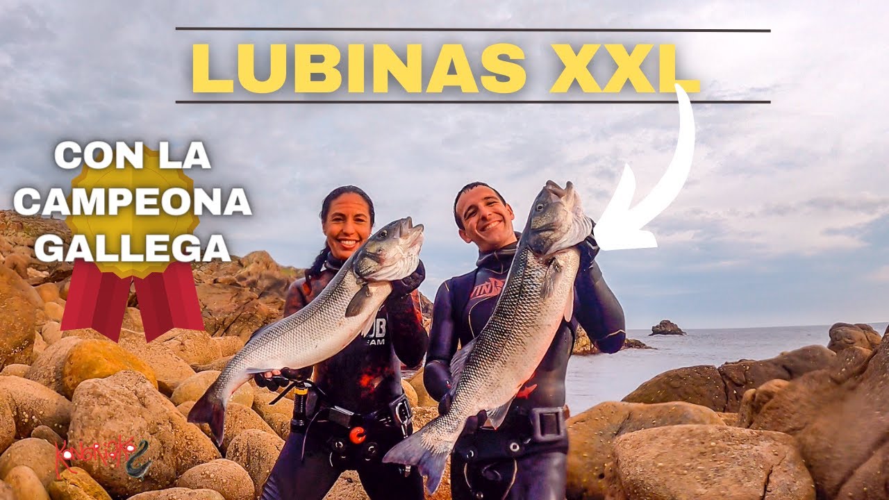 ✅LUBINAS XXL con la CAMPEONA GALLEGA de Pesca Submarina [ESPECIAL 60.000 KONGRIAKERS]