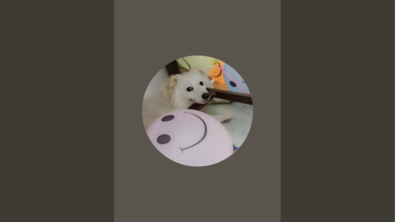 Pluto_the_Badmash is live