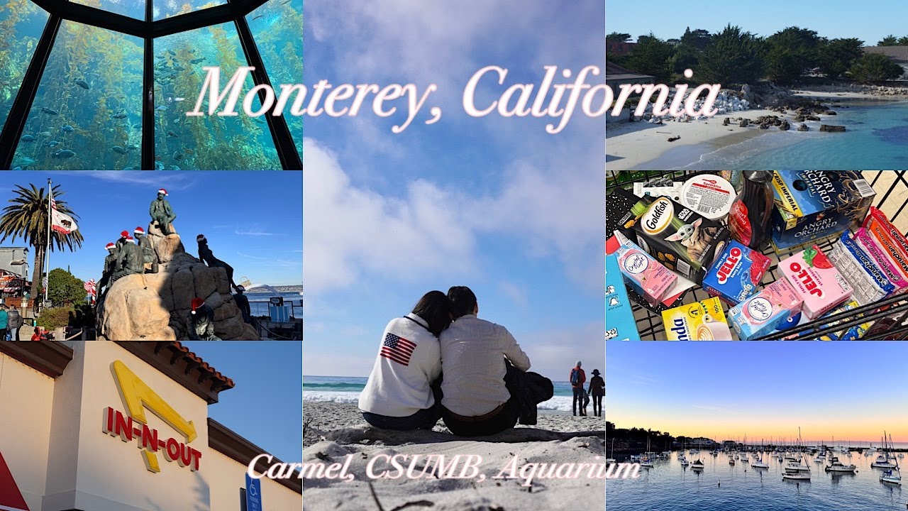 Vlog | Christmas trip in Monterey, California in the U.S. 🇺🇸🦦  Supermarket / Monterey Bay Aquarium