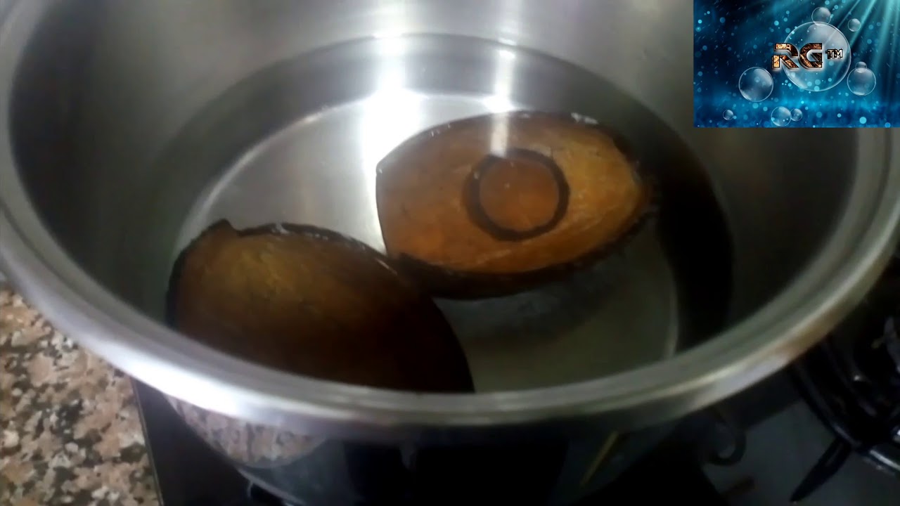 como hacer coco cuevas  para nuestro acuario