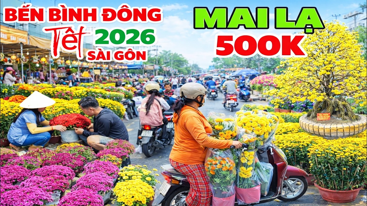 Hoa Rẻ Tấp Nập Bến Bình Đông Ngày 27 Tết Sài Gòn 2026 Vỡ Trận Mai Tết Giá Rẻ