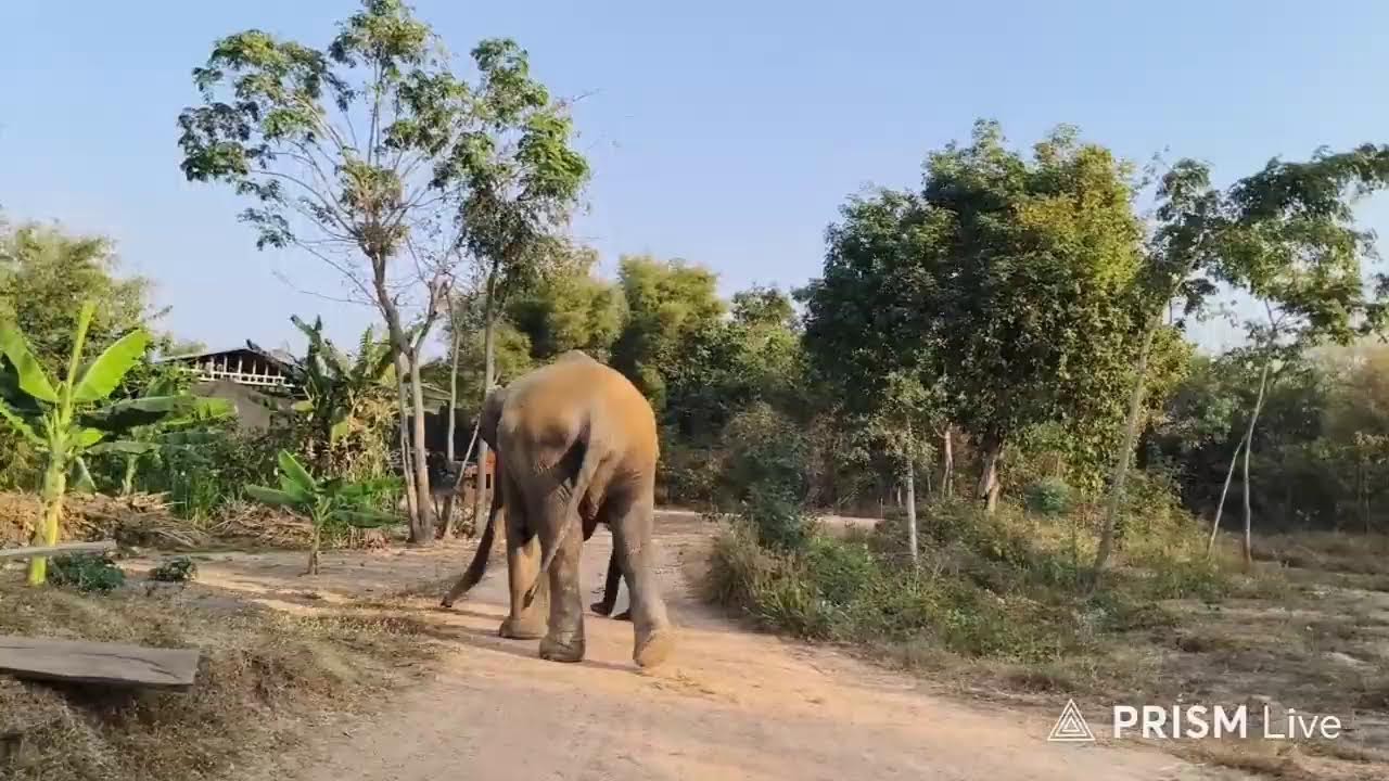 มาร่วมงานวันเกิดสาวบ่อทองครับ