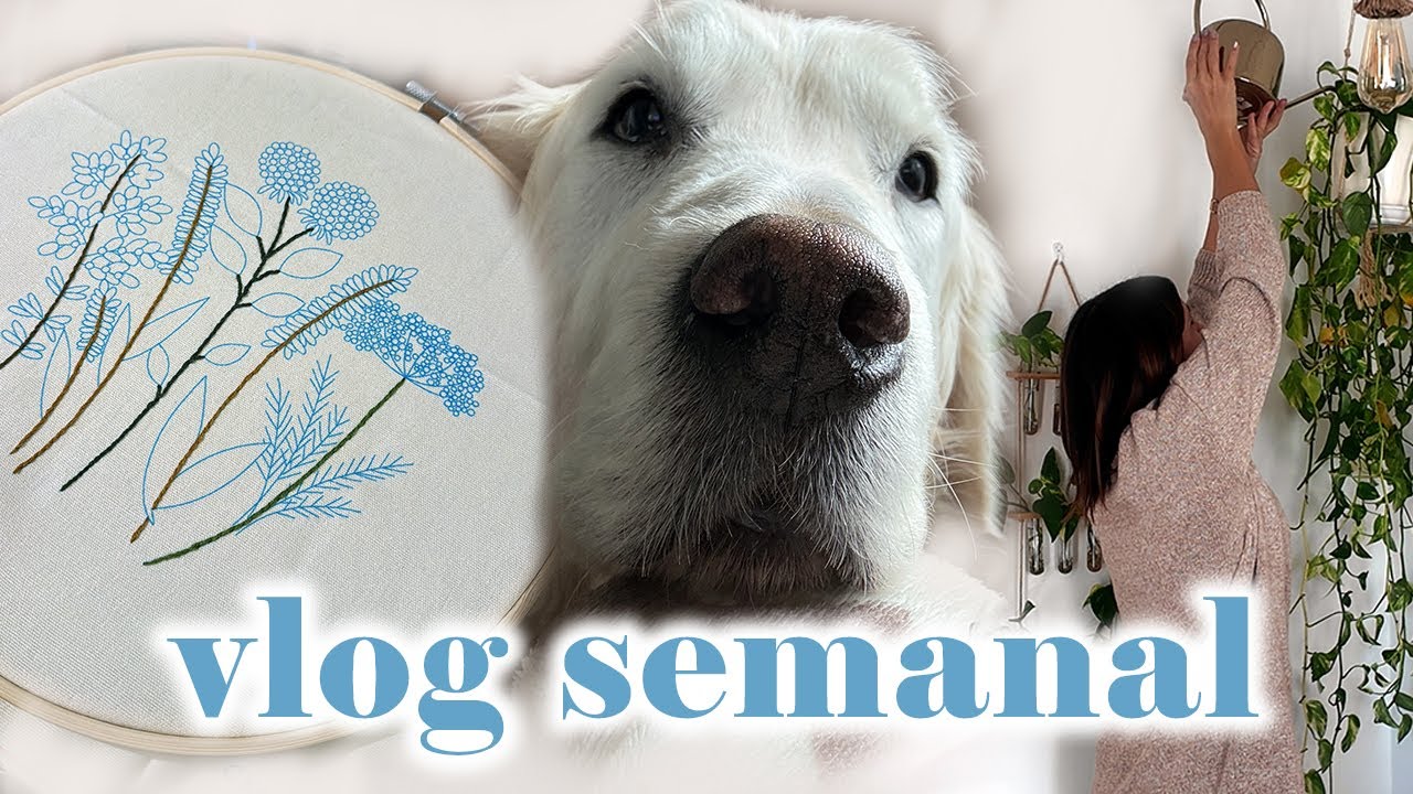 🎁 Una semana llena de regalos, nuevo hobby y mi versión de tarta de la abuela 🎂