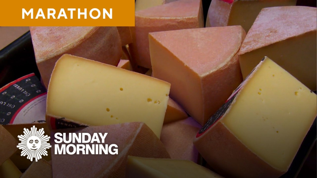 All things cheese